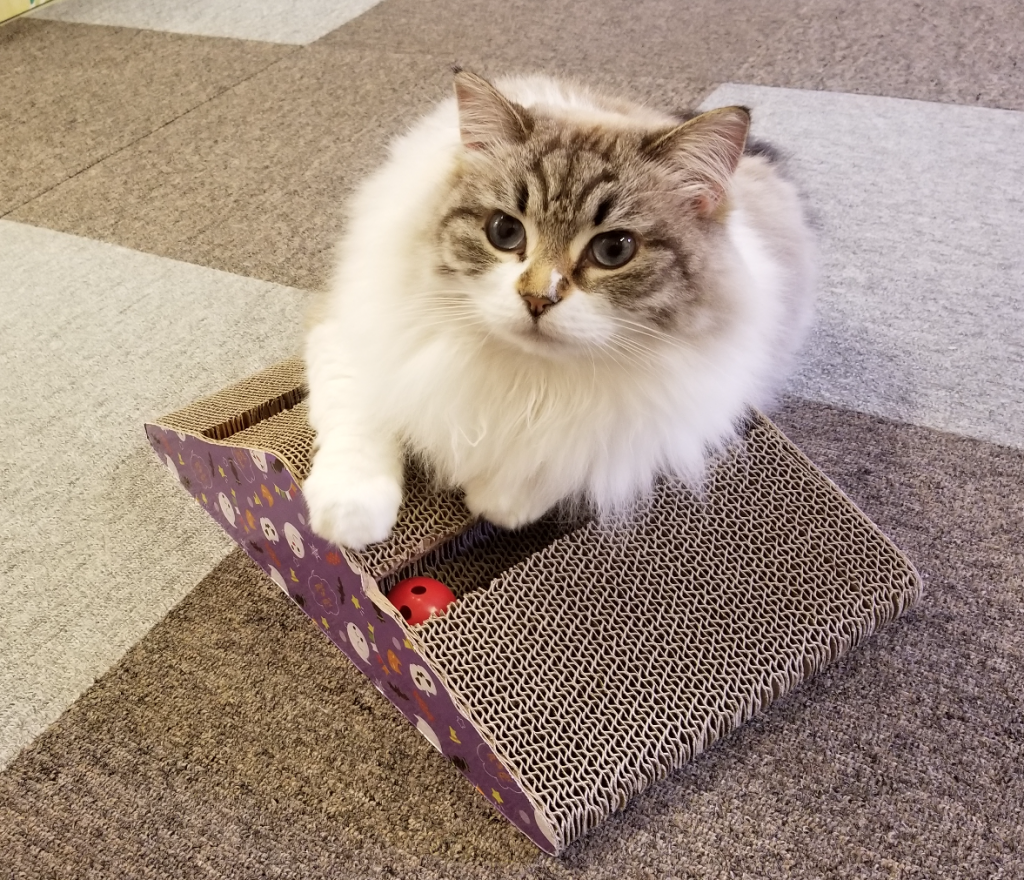 VIVRE (株式会社ビーブル)